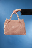 minerva_large_satchel_nude